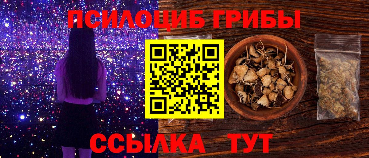 Псилоцибиновые грибы прущие грибы Вичуга