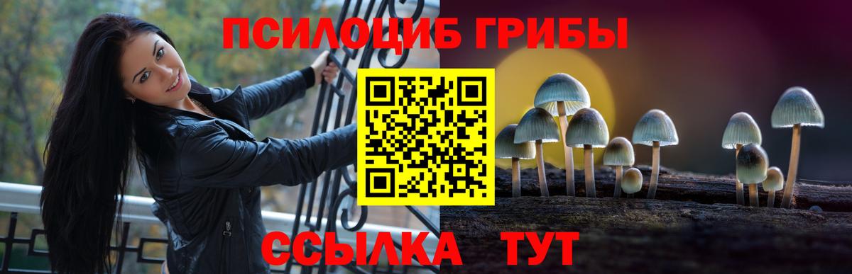 Псилоцибиновые грибы GOLDEN TEACHER  Вход с VPN  Вичуга  Псилоцибиновые грибы Cubensis 